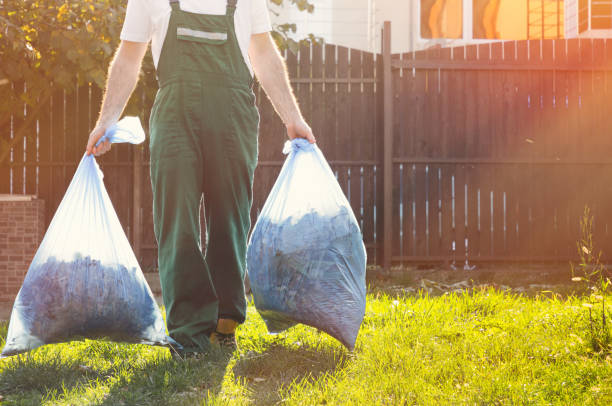 Best Same-Day Junk Removal  in Sandstone, MN